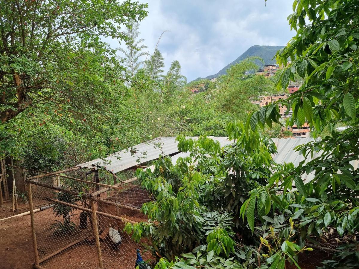 Casa Faisao Villa Nova Lima Eksteriør bilde